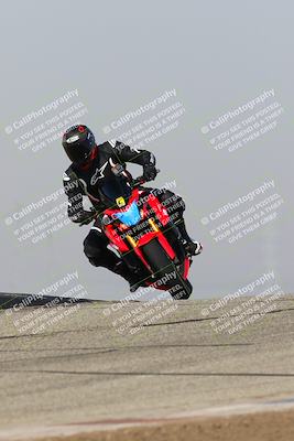 media/Feb-10-2023-TrackDaz (Fri) [[827c11d241]]/C Group/1245pm (Outside Grapevine)/